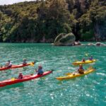 Nelson: Abel Tasman Kayaking & Great Taste Trail Bike Tour - A Deeper Dive: What to Expect from This Tour