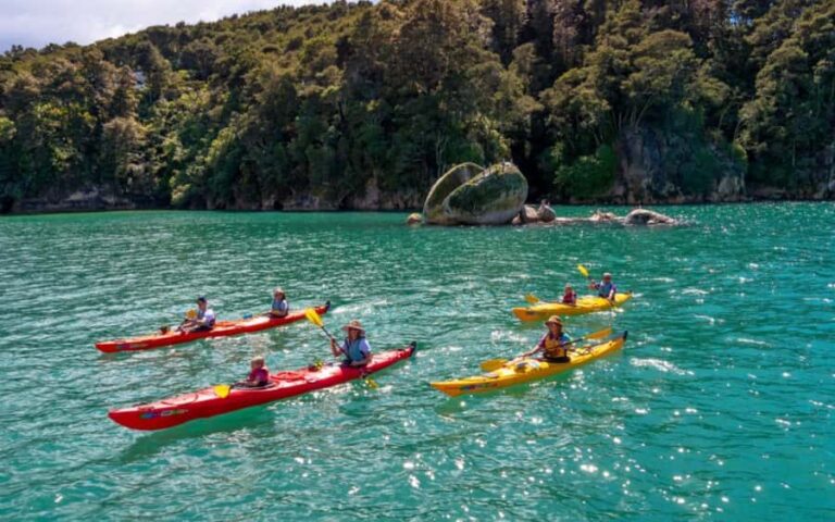 Nelson: Abel Tasman Kayaking & Great Taste Trail Bike Tour - A Deeper Dive: What to Expect from This Tour