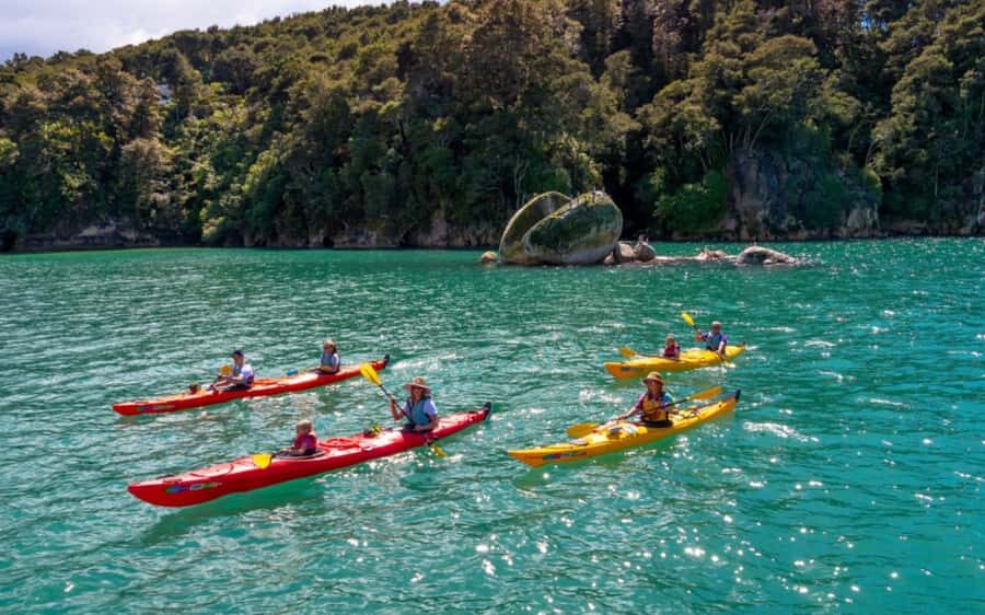 Nelson: Abel Tasman Kayaking & Great Taste Trail Bike Tour - A Deeper Dive: What to Expect from This Tour