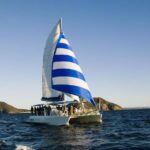 Nelson Bay: Dolphin Watch Cruise and Sail - The Heart of the Experience: Dolphin Watching