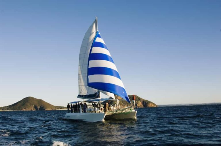 Nelson Bay: Dolphin Watch Cruise and Sail - The Heart of the Experience: Dolphin Watching