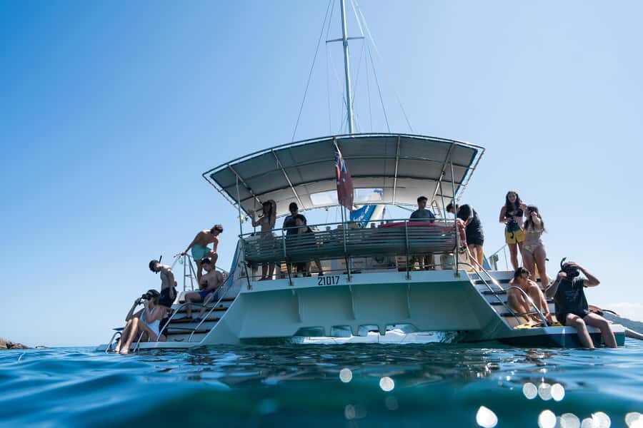 Nelson Bay: Marine Discovery Cruise with Snorkeling - What Makes This Tour Stand Out
