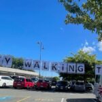 Nelson City Walking Tour - Guided - What Makes This Tour Stand Out?