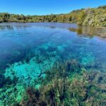 Nelson: Golden Bay in a Day Tour - Who Will Love This Tour?