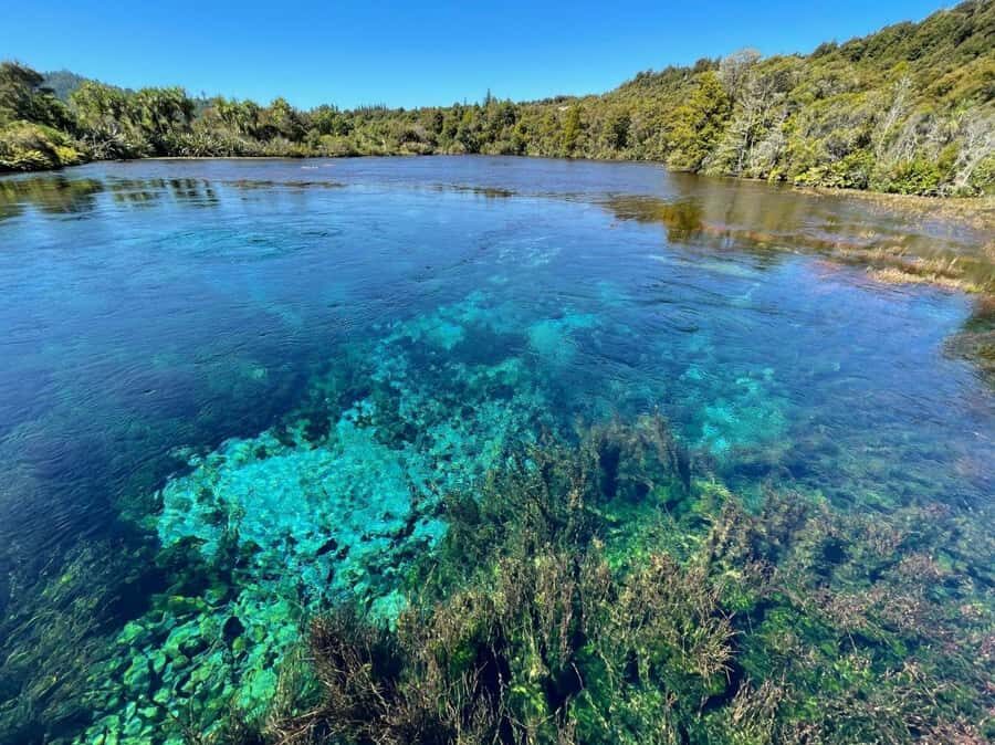 Nelson: Golden Bay in a Day Tour - Who Will Love This Tour?