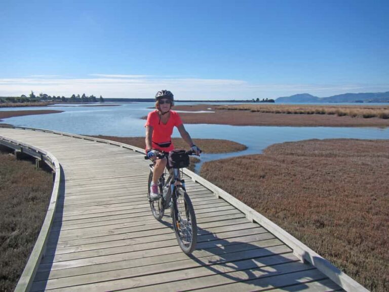 Nelson: Great Taste Trail Coastal Bike Ride to Mapua - What You Can Expect During the Ride