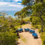 Nelson: Guided Quad Biking Tour Through Forest and Farmland - Authentic Experiences and What Travelers Say