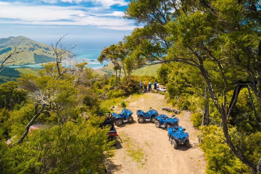 Nelson: Guided Quad Biking Tour Through Forest and Farmland - Authentic Experiences and What Travelers Say