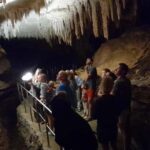 New Zealand: Milky Way Glowworm Cave Tour - Who Will Love This Tour?
