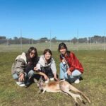 Newcastle: Animal Lovers Tour - Kangaroos, Dolphins & more! - First Impressions: A Well-Rounded Wildlife Day