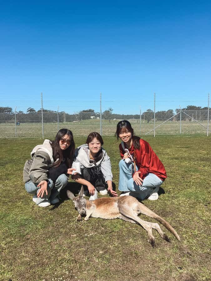 Newcastle: Animal Lovers Tour - Kangaroos, Dolphins & more! - First Impressions: A Well-Rounded Wildlife Day