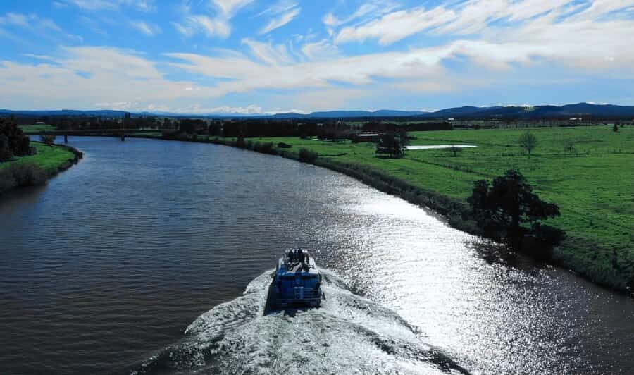 Newcastle: Morpeth River Cruise with Local Produce Tasting - What’s the Value?
