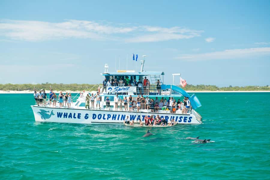 Newcastle: Port Stephens day tour. Dolphins, hike, swim. - Value and Practicalities