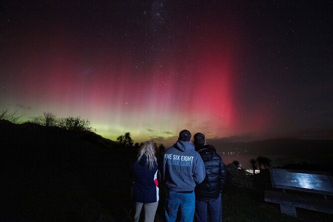 Night Awe - Stargazing tour in Akaroa - Final Thoughts: Is It Worth It?