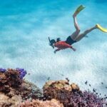 Ningaloo Reef Snorkel Adventure - Who is This Tour Best Suited For?