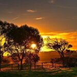 Nocturnal Tour of Kangaroo Island - Who Should Consider This Tour?