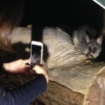 Nocturnal Wildlife Tour from Busselton - Why This Tour Is Perfect for You