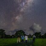 Nocturnal Wonders Tawharanui Kiwi Spotting and Stargazing Tour - Authentic Experiences and Authentic Guides