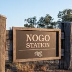 Nogo Station Experience - Who Will Enjoy This Tour?