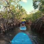 Noosa: Epic Stand Up Paddle Stingray & Mangrove Tunnel Tour - Final Thoughts: Is It Worth It?