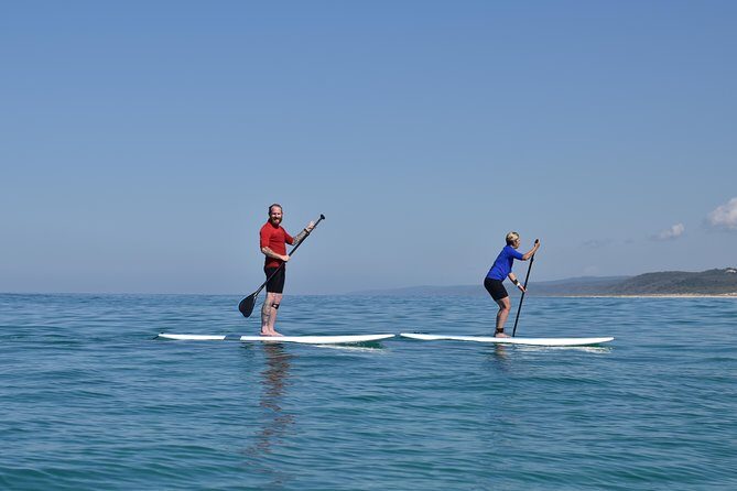 Noosa: Epic Stand Up Paddle Wildlife & Beach 4X4 Adventure - The Highlights of the Day