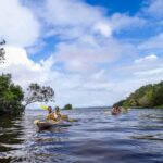 Noosa Everglades: Truly Sustainable Guided KAYAK Tour - Why Choose This Tour?