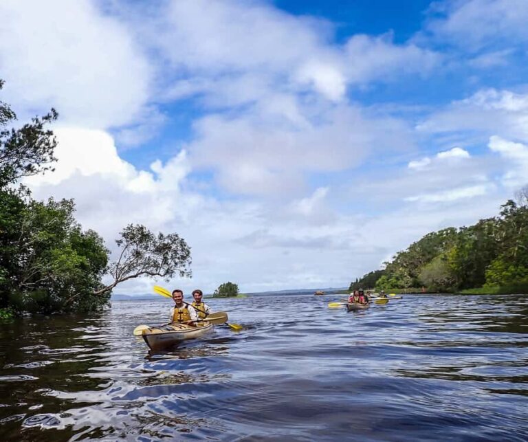 Noosa Everglades: Truly Sustainable Guided KAYAK Tour - Why Choose This Tour?
