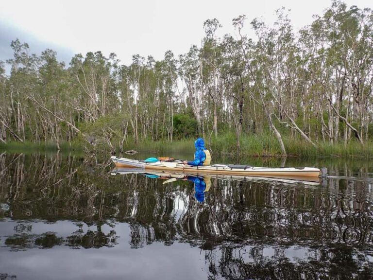 Noosa Everglades: Truly Sustainable Self Guided KAYAK Tour - Practical Details and Tips