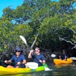 Noosa Heads: Hidden Waterways Wildlife Kayak (Fully Guided) - Detailed Tour Breakdown