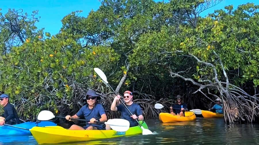 Noosa Heads: Hidden Waterways Wildlife Kayak (Fully Guided) - Detailed Tour Breakdown