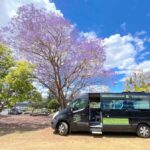 Noosa: Mary Valley Tour with Mary Valley Rattler and Lunch - Evaluating the Value