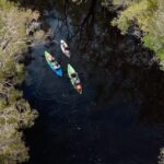 Noosa: Noosa Everglades and Stingray Sanctuary Kayak Tour - Who Will Love This Tour?