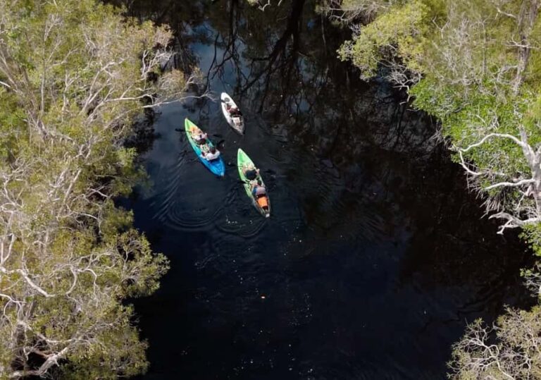 Noosa: Noosa Everglades and Stingray Sanctuary Kayak Tour - Who Will Love This Tour?