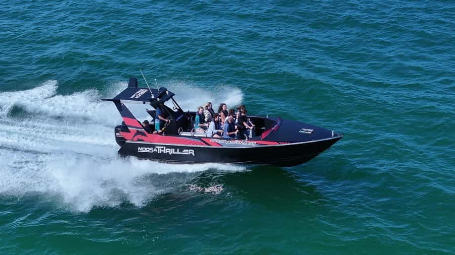 Noosa: Noosa Ocean Adventure with Dolphin Watching - Why You Should Consider This Tour