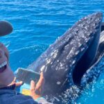 Noosa Ocean Adventures: Whale Watch - Practical Tips for Future Travelers