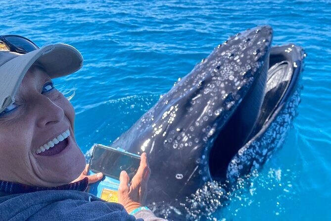 Noosa Ocean Adventures: Whale Watch - Practical Tips for Future Travelers