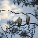 Noosa Queen Sunset Cruise River - Who Will Love This Tour?