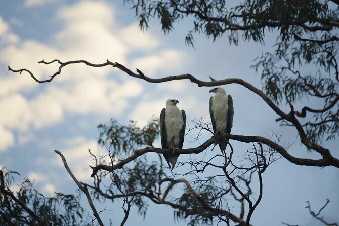 Noosa Queen Sunset Cruise River - Who Will Love This Tour?