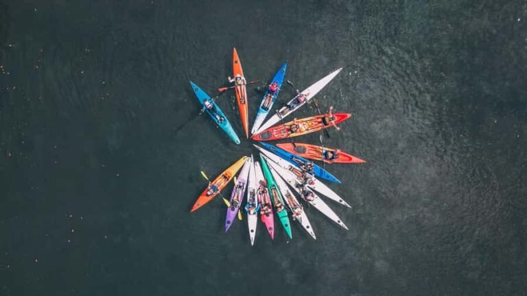 Noosa River: Mangroves and Mansions Guided Kayak Tour - An In-Depth Look at the Noosa River Kayak Tour