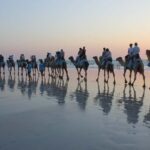 North of Rocks on Cable Beach: 1-Hour Sunset Camel Ride - The Ride Itself: What to Expect