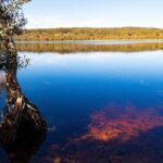 North Stradbroke Island Private Tour with Pickup - The Value: Is It Worth the Price?