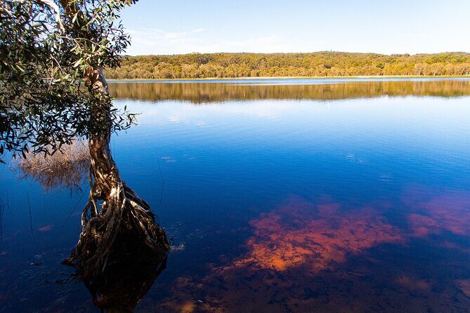 North Stradbroke Island Private Tour with Pickup - The Value: Is It Worth the Price?