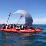Oarsome Marine Reserve Kayak Tour - The Practicalities: Group Size, Price, and Duration