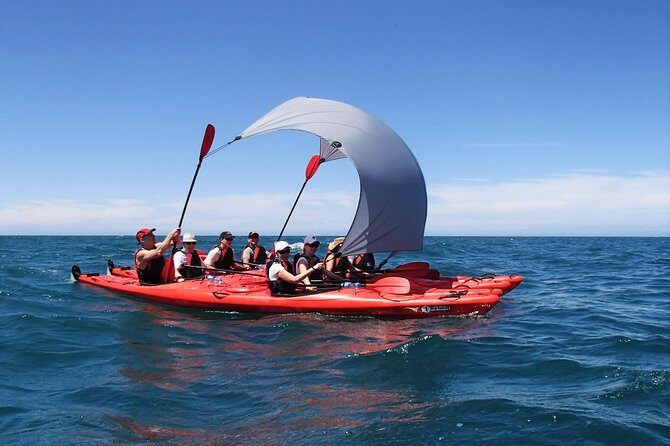 Oarsome Marine Reserve Kayak Tour - The Practicalities: Group Size, Price, and Duration