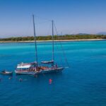 Ocean Free 25 guest Great Barrier Reef & visit Green Island Tour - Who Will Love This Tour?