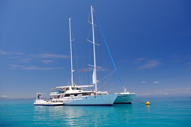 Ocean Spirit Sail to Michaelmas Cay Snorkel or Dive, from Cairns - How Do Reviews Shape the Experience?