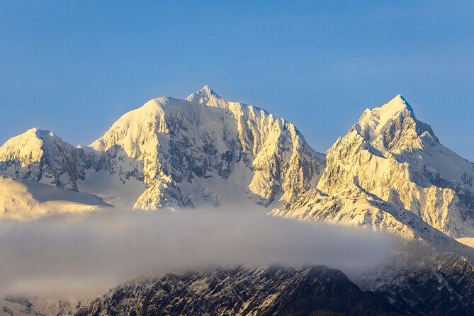 Okarito Nature Tour - Detailed Breakdown of the Itinerary