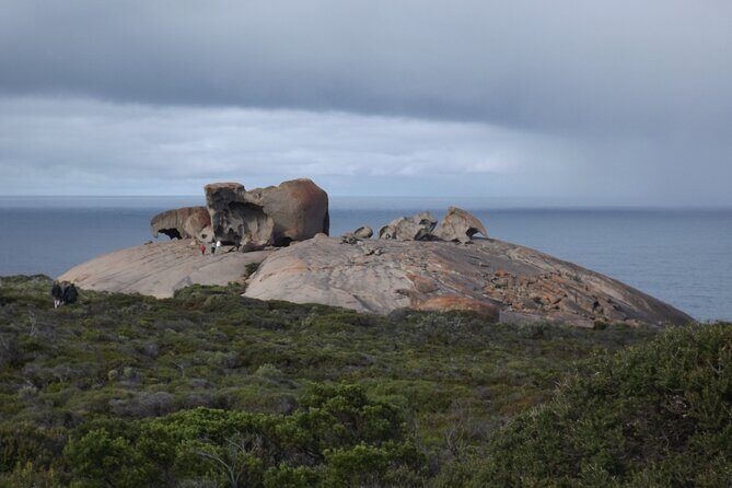 One Day Kangaroo Island Highlights Tour - What the Reviews Say