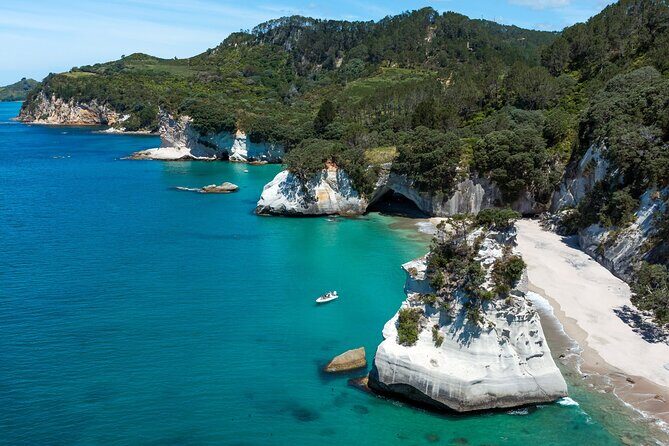 One Hour Cathedral Cove Boat Tour in Hahei - What Makes This Tour Special?