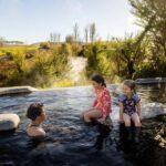 One Way Drop-off Tour: Rotorua to Auckland via Blue Springs - What to Expect During the Journey
